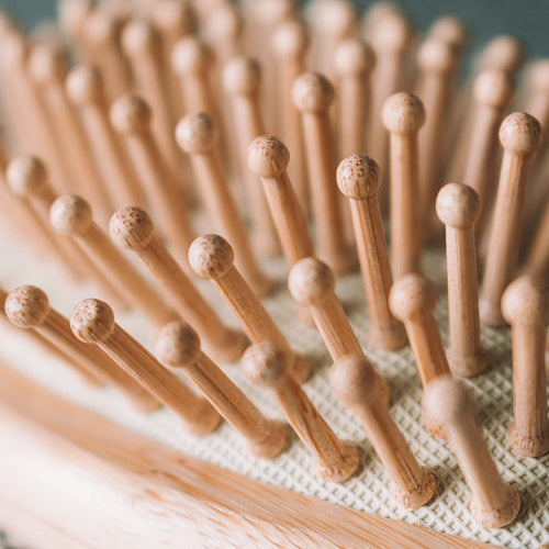 Bamboo Hairbrush | Sustainable Wood