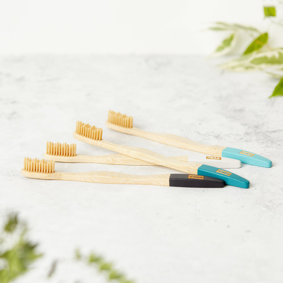 Bamboo Toothbrushes | Set of 4