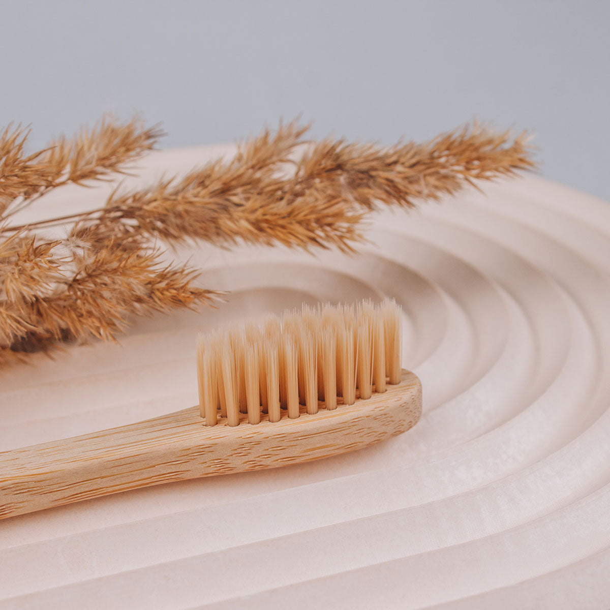 Bamboo Toothbrushes | Set of 4